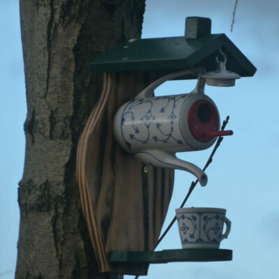 Bild André Zosel aus Hohendubrau